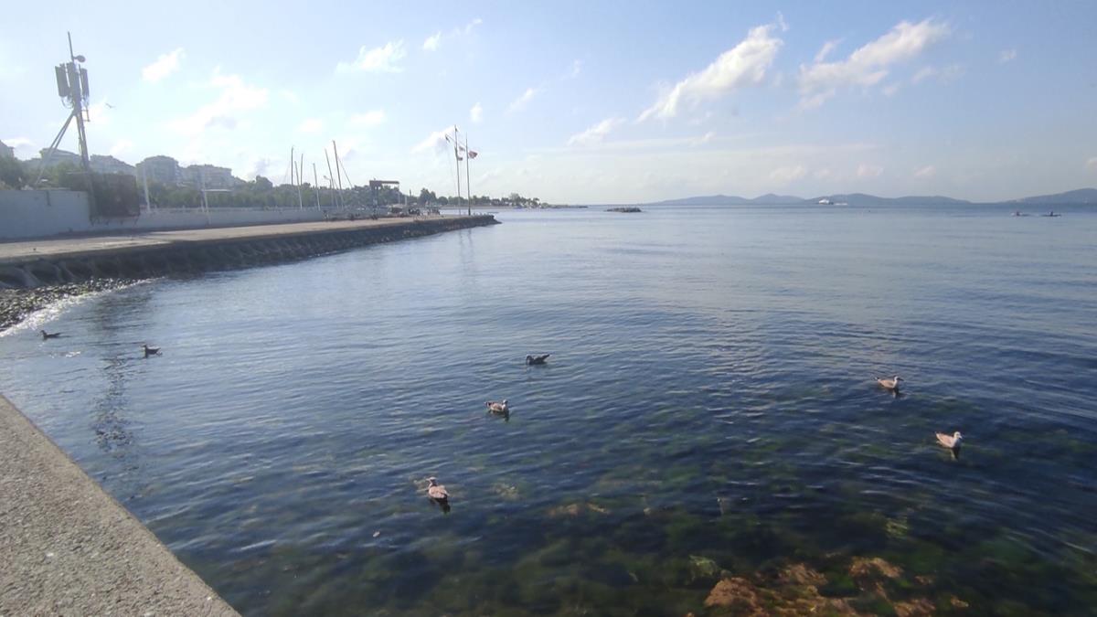 stanbul'da kylarnda msilaj etkisini kaybetti