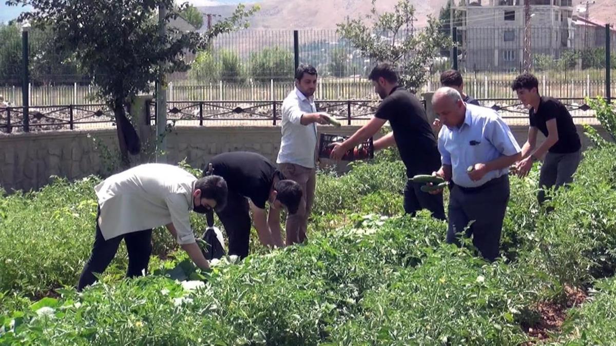 'Okul bostan'da yetitiriliyor, ihtiya sahibi ailelere ulatrlyor 