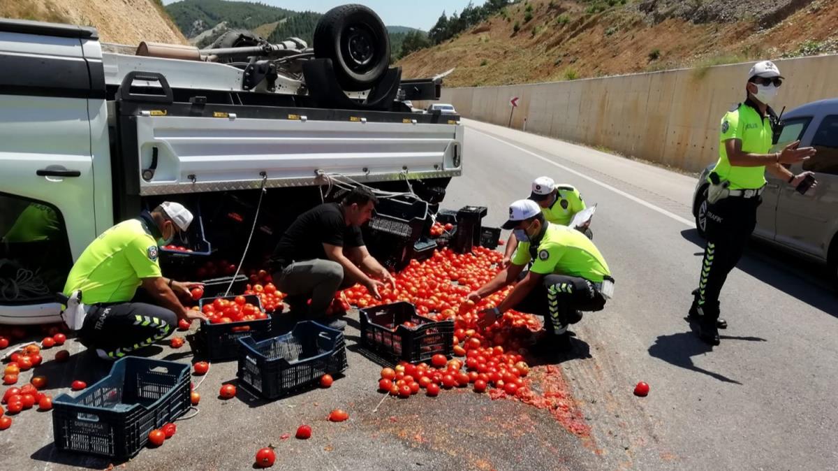 Kamyonetten dklen domatesleri trafik polisleri el birliiyle toplad