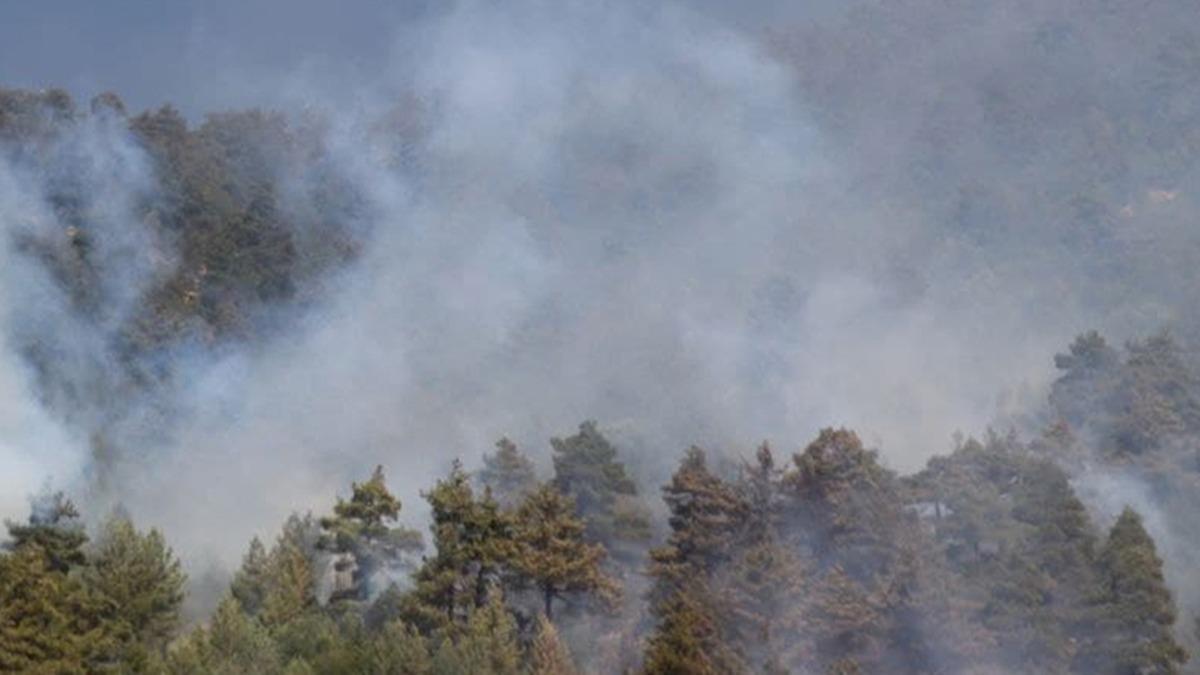 talya'nn Sardinya Adas'ndaki yangn nedeniyle 1500'den fazla kii tahliye edildi 