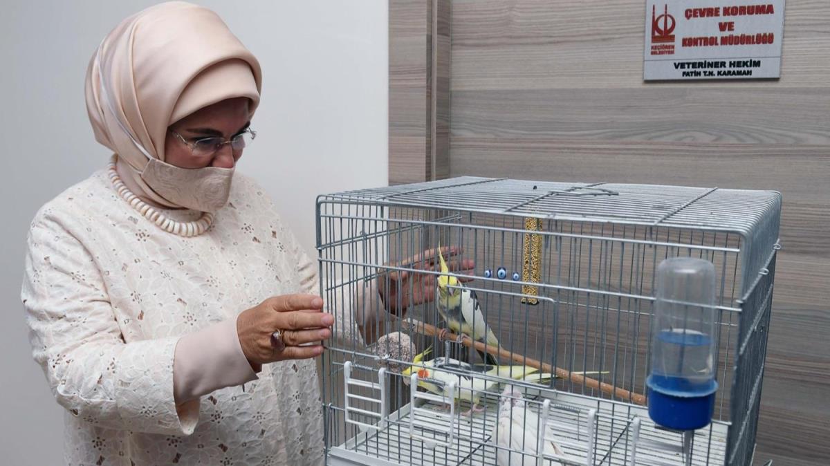 Emine Erdoan: Hayvanlara gsterilen iddetin hibir trn asla kabul edemeyiz