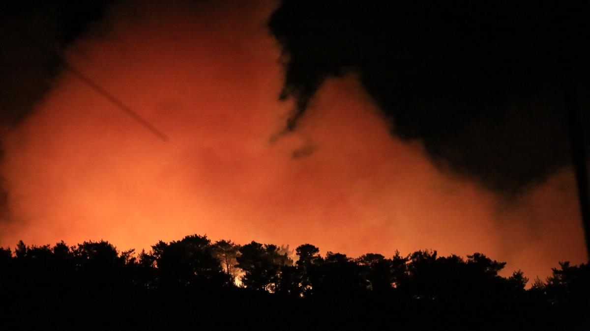 Mersin'de kan orman yangnlarna mdahale ediliyor