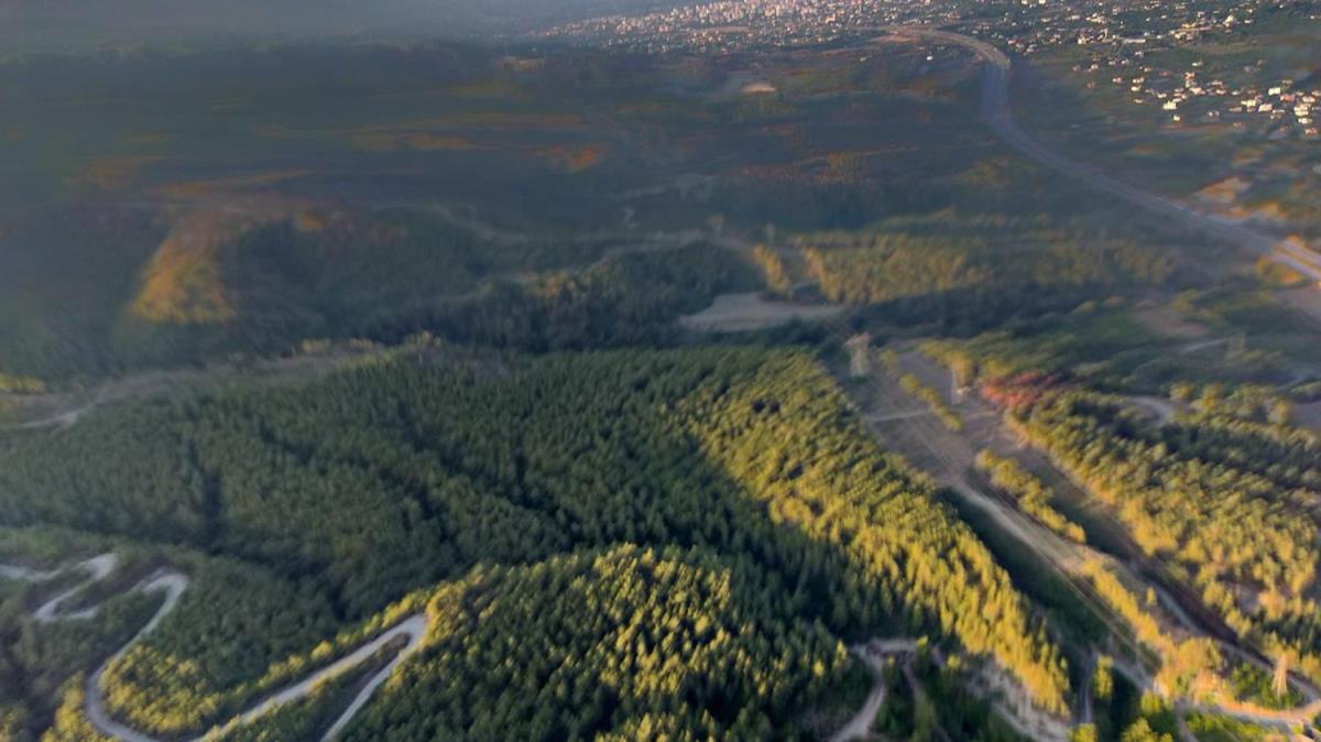 Trkiye'de devam eden 189 orman yangnnn 174' kontrol altna alnd