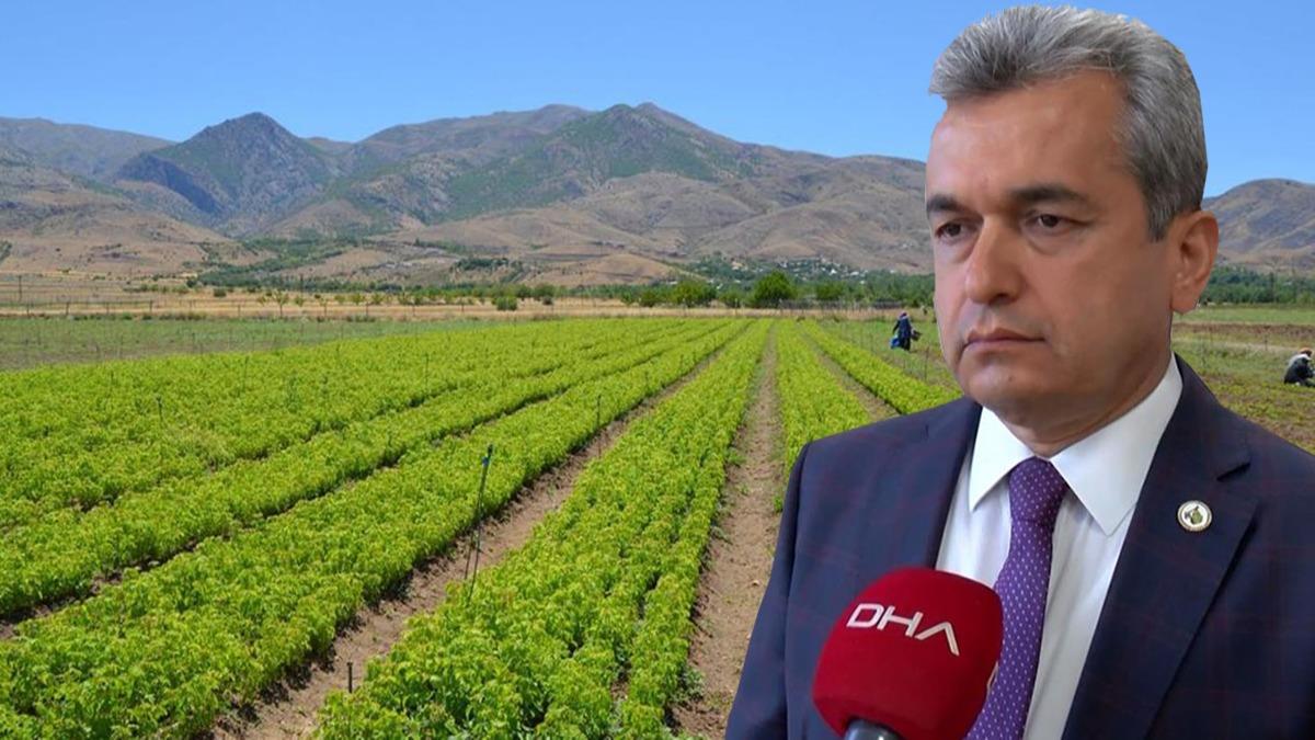 Yanan orman blgelerinin aalandrlmas konusunda Orman Genel Mdrl'nden 3 yeni yntem