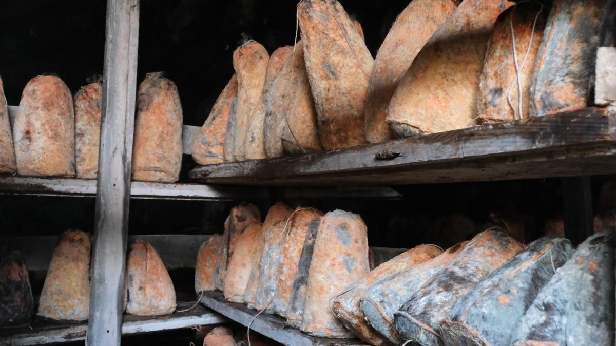 Halatlar yardmyla sarp kayalklar arasndaki maaralara indiriliyor! Lezzetini buradan alyor