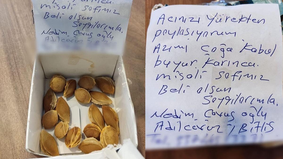 Yangn blgesine kays ekirdei gnderdi