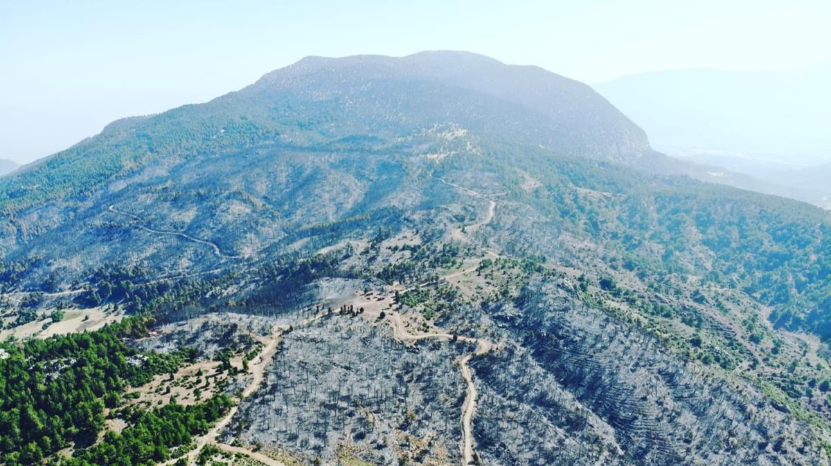 Denizli'de yanan alanlar aalandrlacak