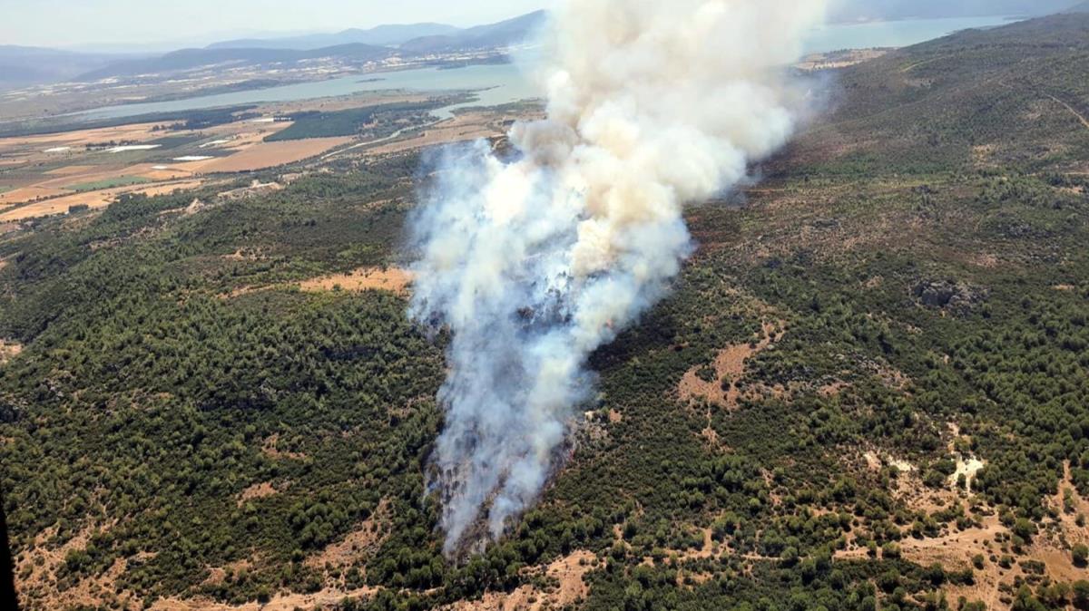 zmir'de orman yangn: Ekipler mdahale ediyor