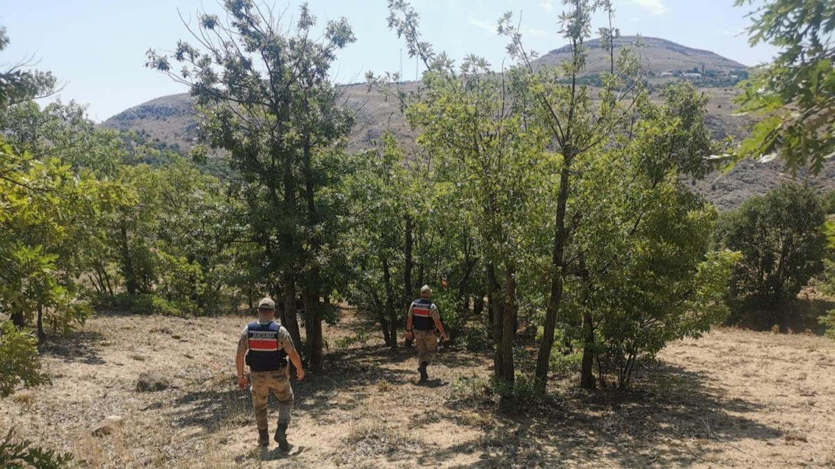 Malatya'da ormanlk alanlara giri 19 Eyll'e kadar yasakland