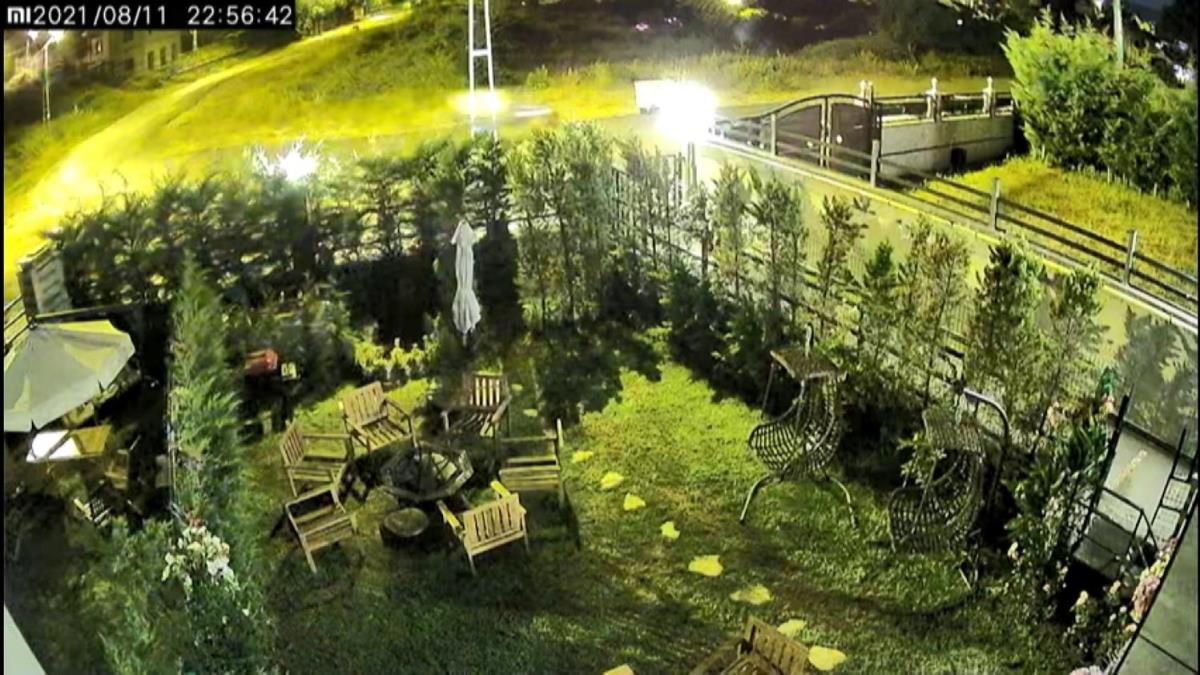 ATV ile sokak kpeini ezmeye altlar