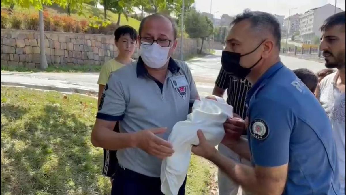 Arnavutky'de parkta yeni domu bebek bulundu