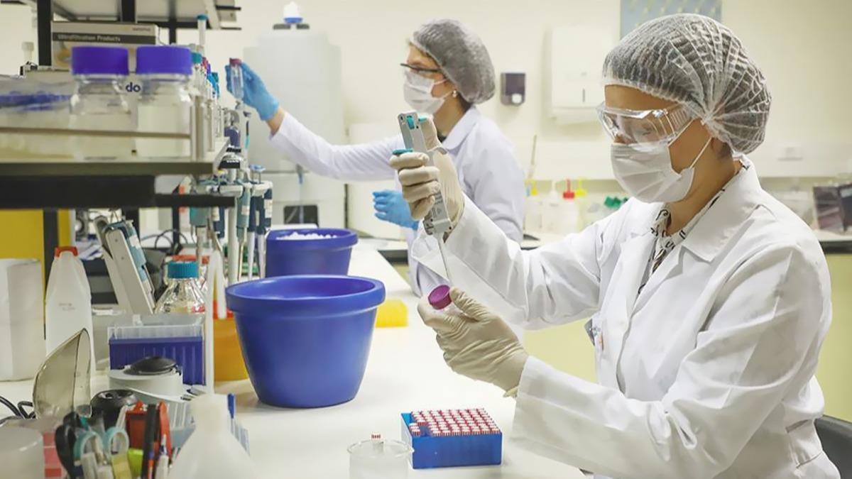 PCR testi nasl yaplr? PCR testi nedir?