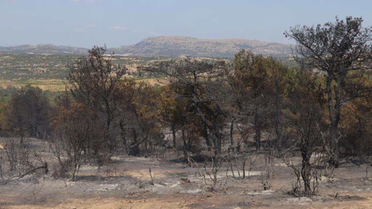 anakkale'de ormanlk alanda kan yangn kontrol altna alnd