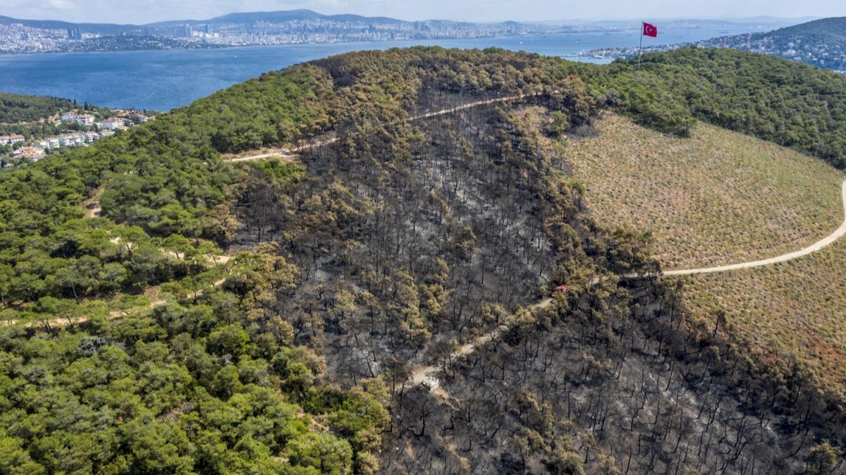 Heybeliada'da yangn nedeniyle zarar gren alan havadan grntlendi
