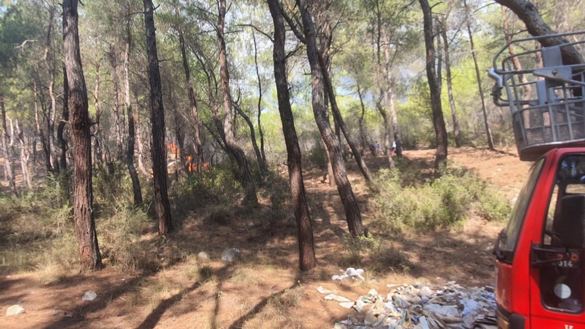 Mula'da ormanlk alanda yangn: Mdahale ediliyor