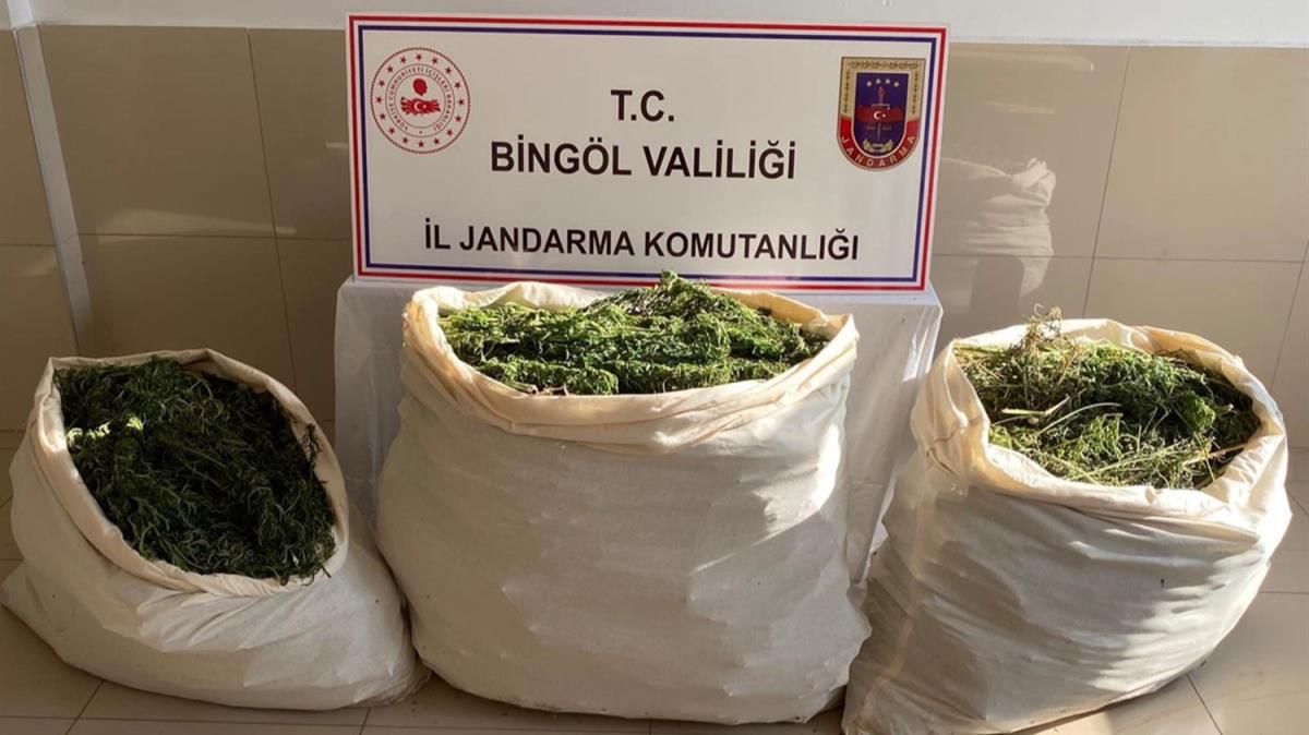 Bingl'de jandarma ekiplerince 174 kilogram uyuturucu yakaland