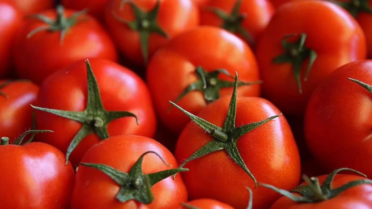zbekistan'da domates kullanlarak yenilebilir a almalar yaplyor