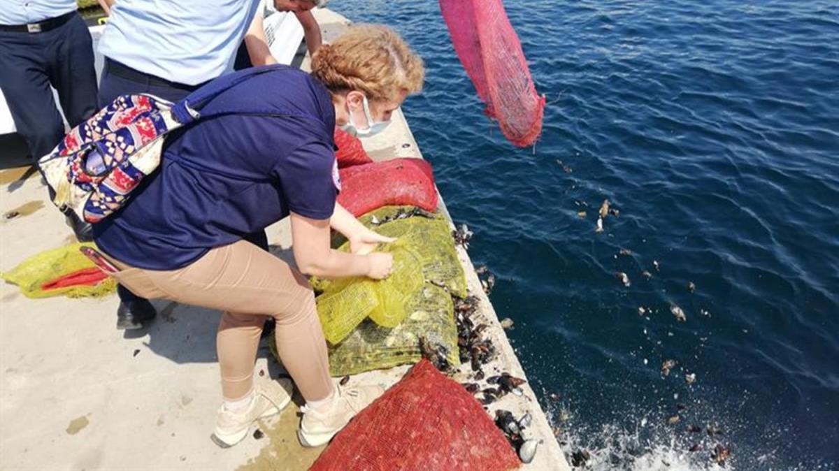 Saryer'de kaak avlanan 1 ton midye ele geirildi