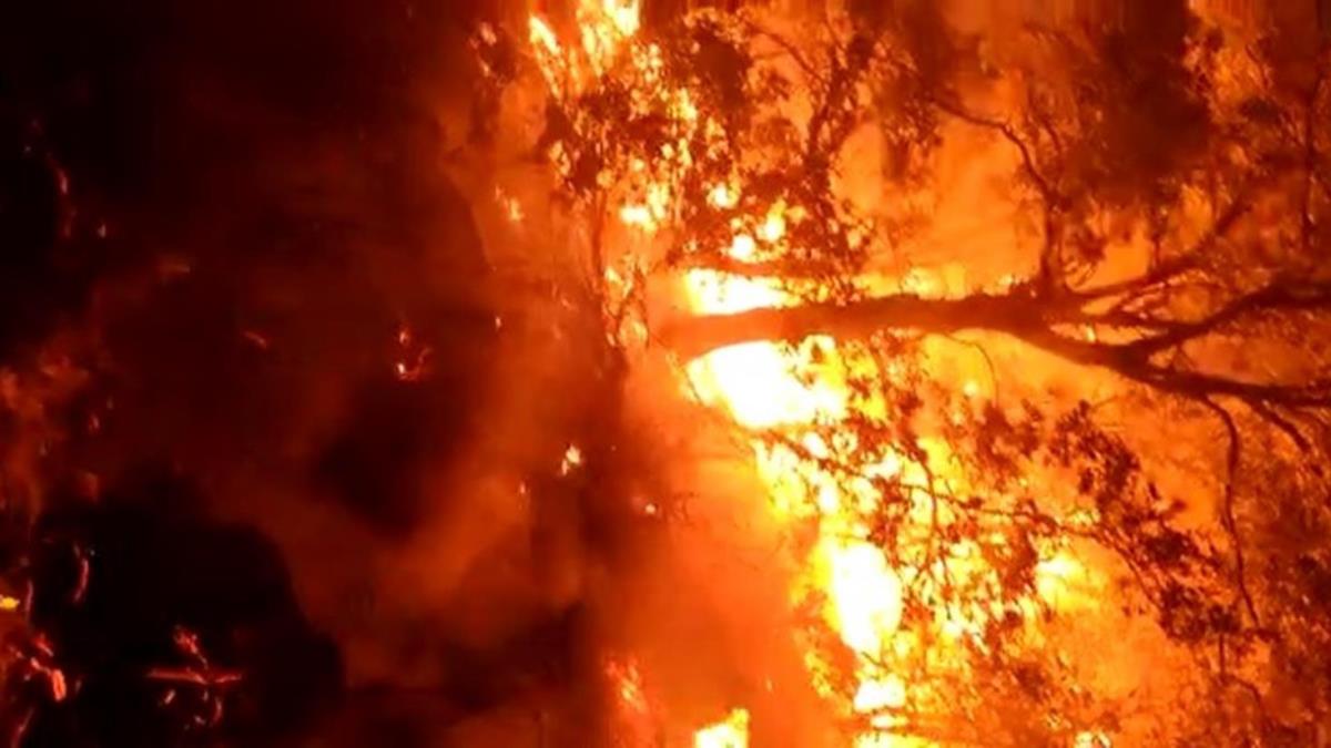 Bingl'deki orman yangnlar kontrol altna alnd