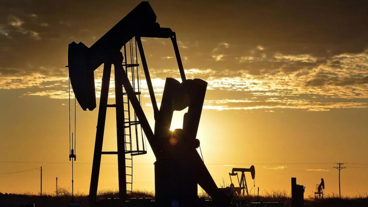 zin kt! O ilimizde petrol aranacak 