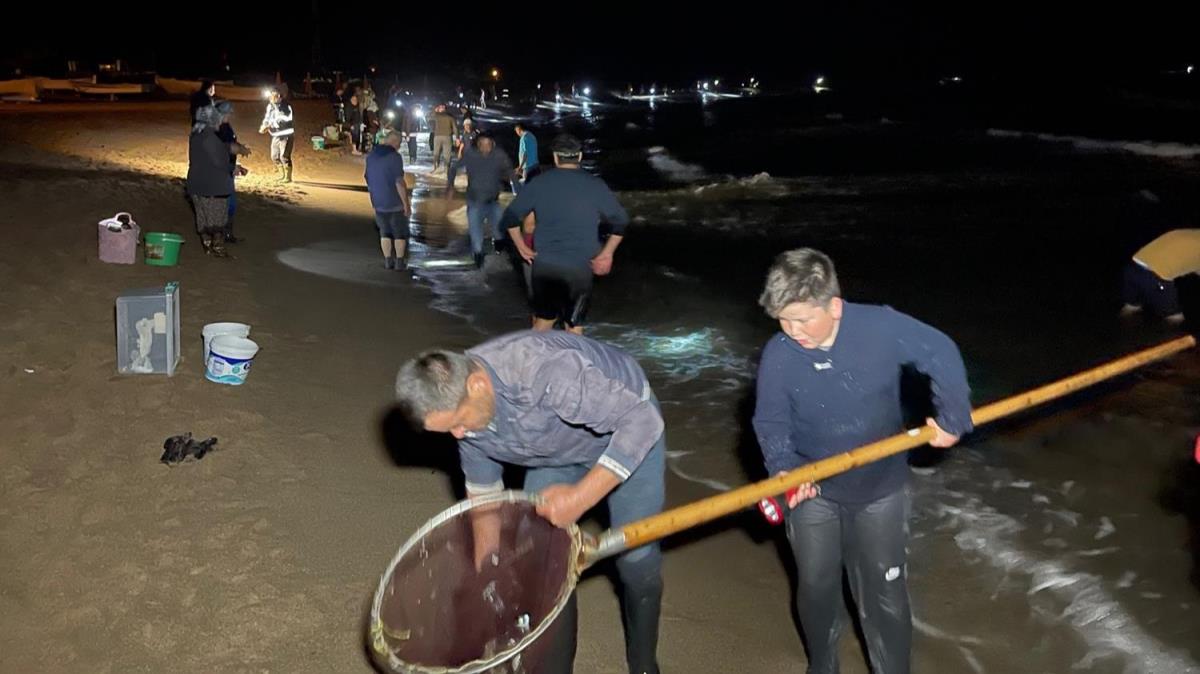 Karadeniz sahilinde korkutan grnt: Vatandalar sahile akn etti