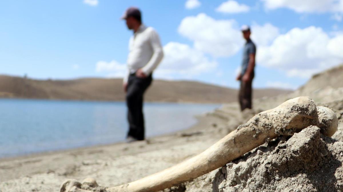 Palandken Baraj Gl'nde doluluk oran, yzde 61.98'e geriledi: Tahrip olan mezarlardaki kemikler ortaya kt