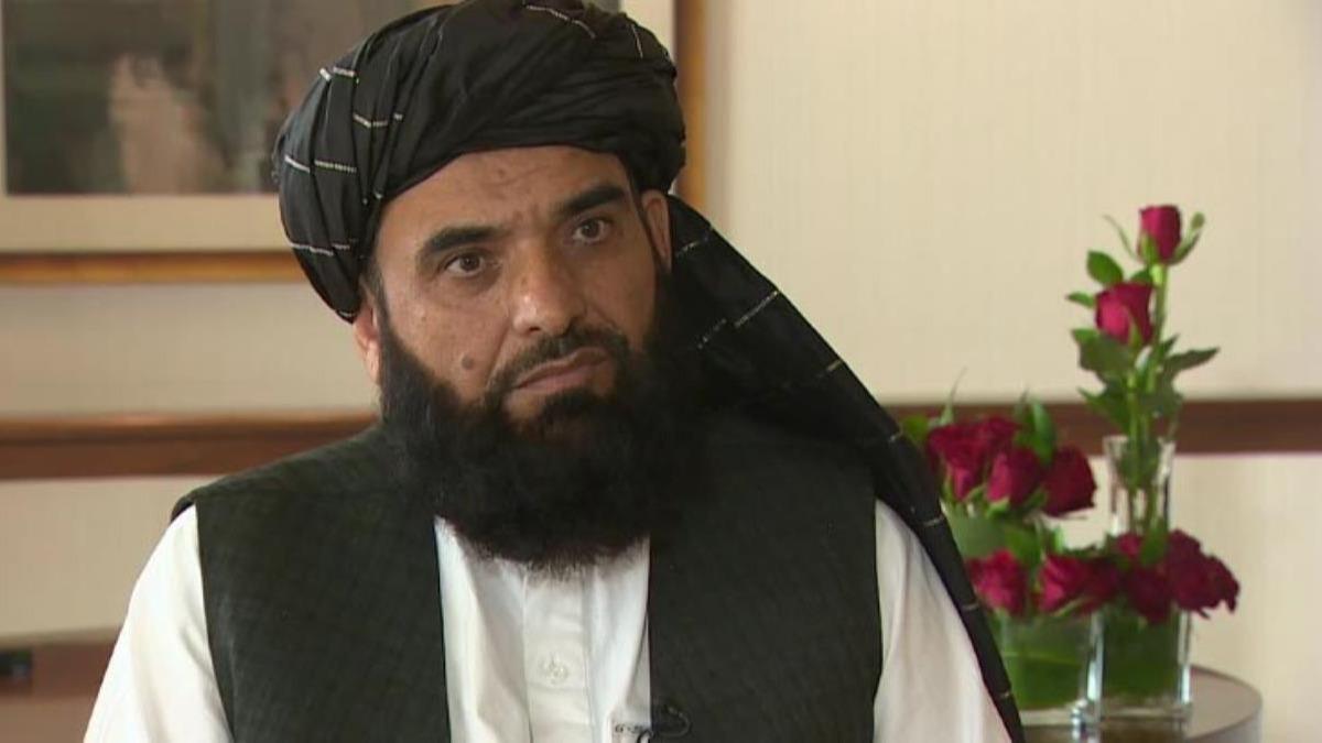 Taliban, Birlemi Milletler ile grt