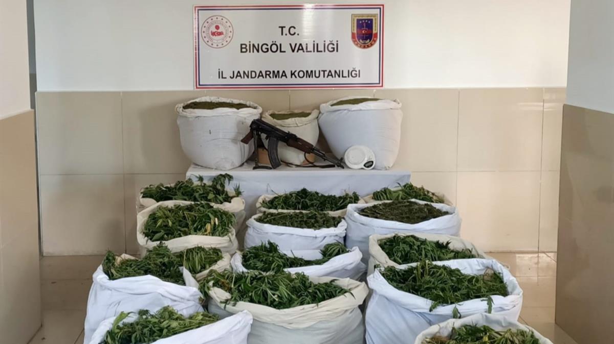 Bingl'de uyuturucu operasyonu