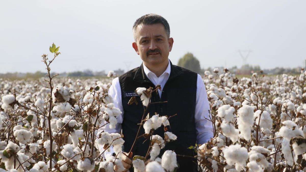 Bakan Pakdemirli: Pamukta bu sene iftinin yz gld