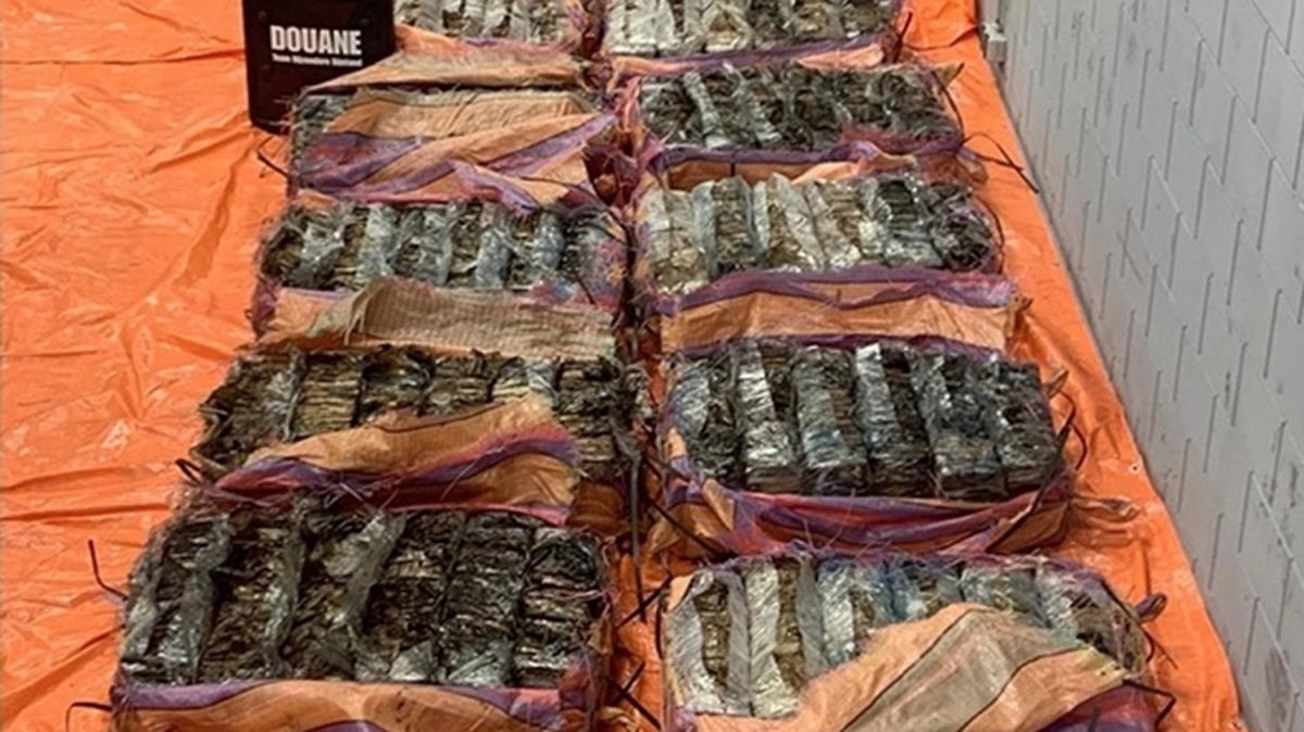 Hollanda'da dev narkotik operasyonu 