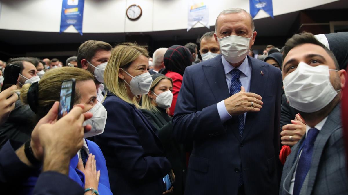 Cumhurbakan Erdoan, Tekilat Akademisi Eitim Program alna katld