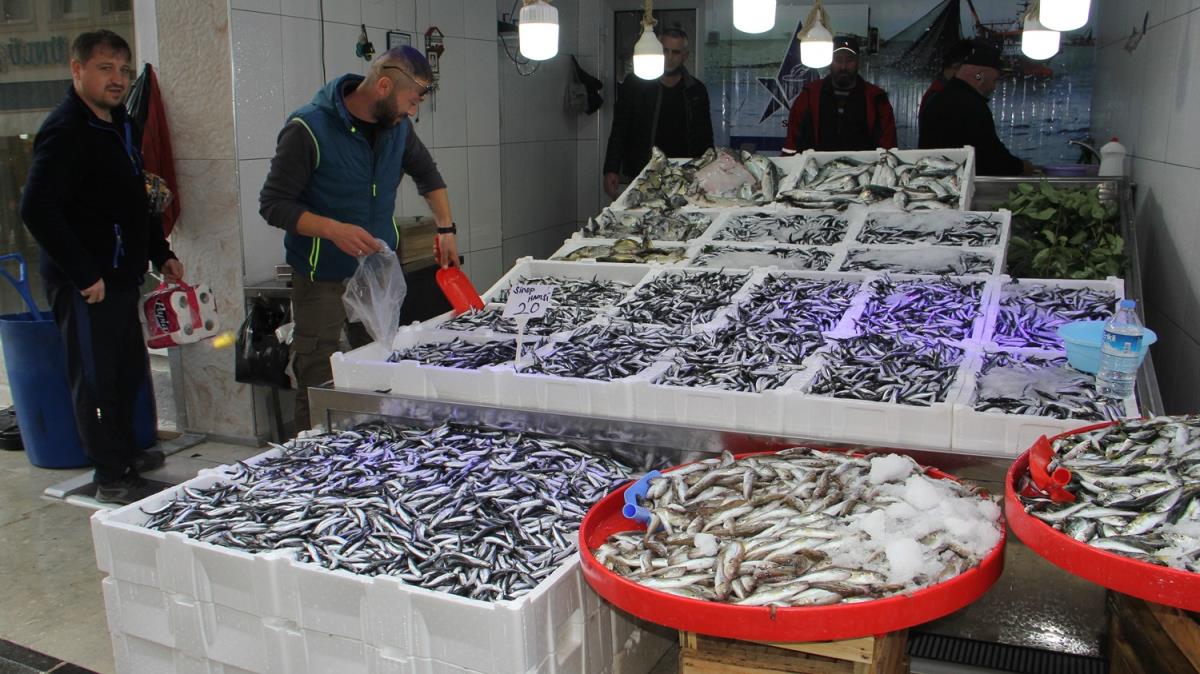 Karadeniz'de hamsi bolluu