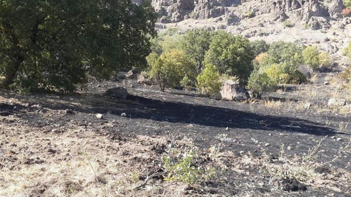 Tunceli'de rt yangn! Ekipler sevk edildi