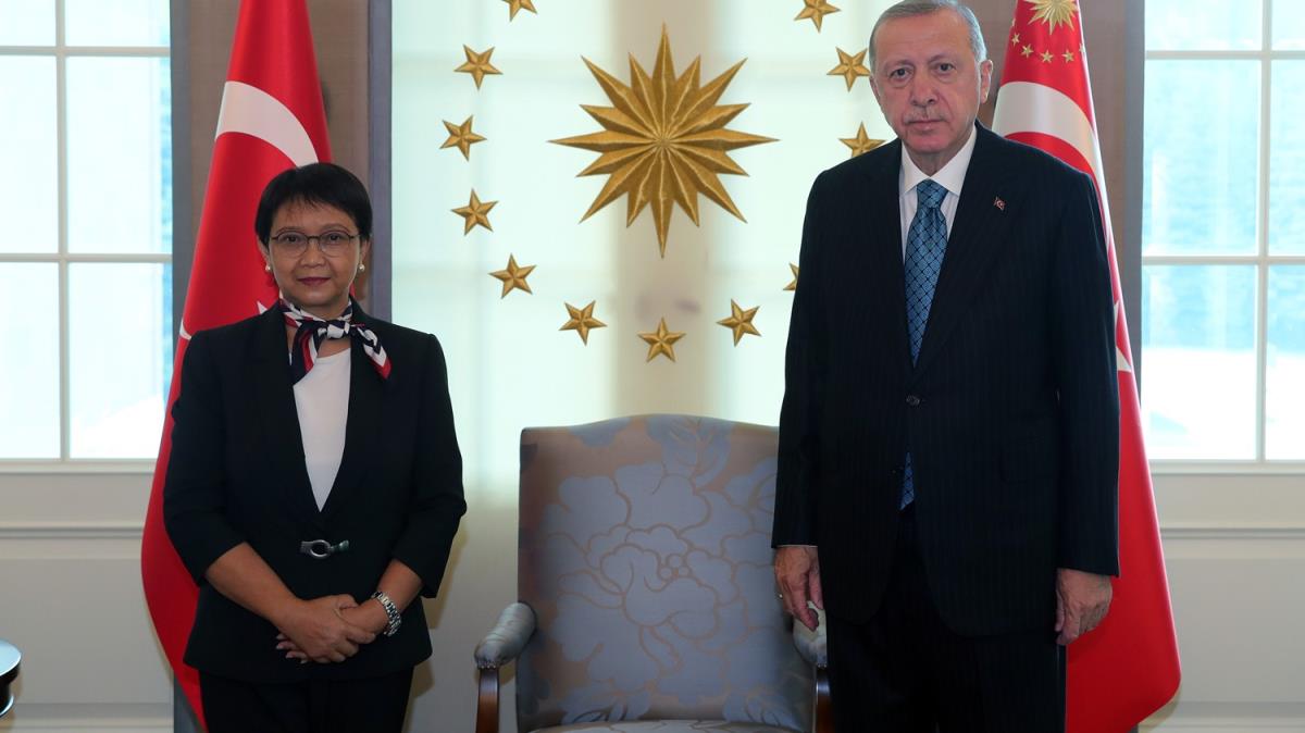Cumhurbakan Erdoan, Marsudi'yi kabul etti