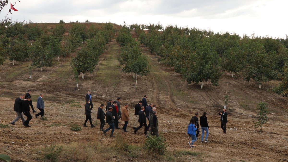 Trkiye'de tarla snrlar nedeniyle byk bir alan tarmda kullanlamyor