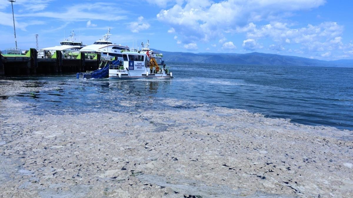 Msilajn olumsuz etkileri ortaya kt: Yzde 30 lm tespit edildi