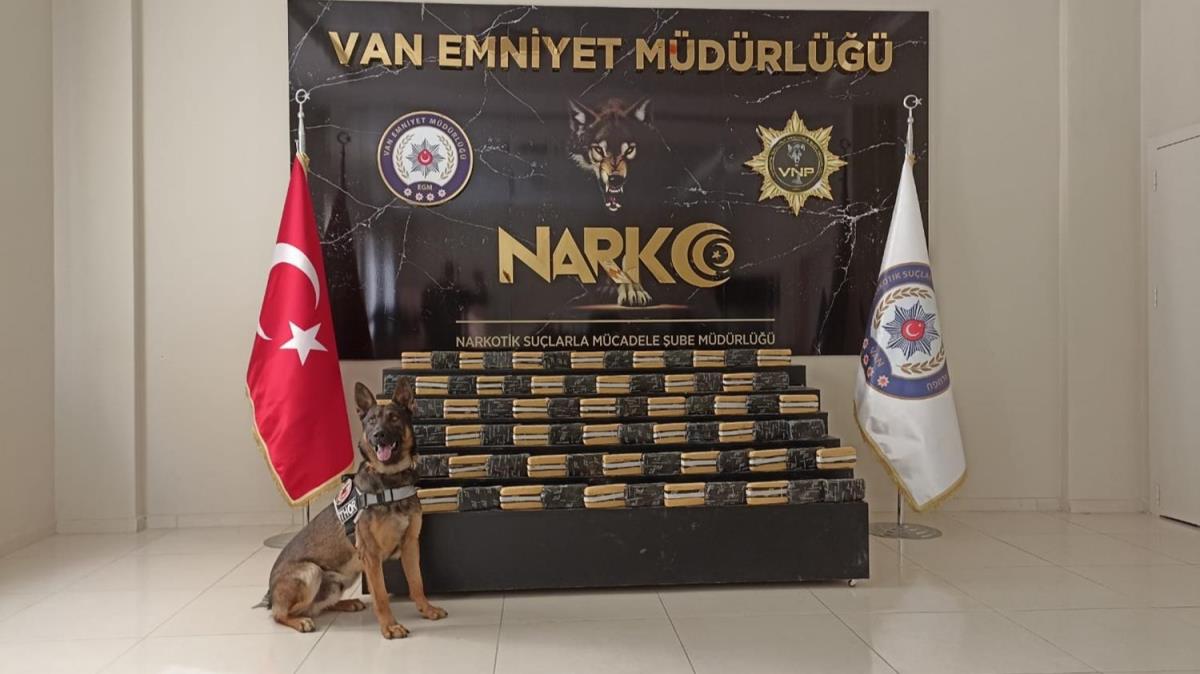 Van'da narkotik operasyonu 