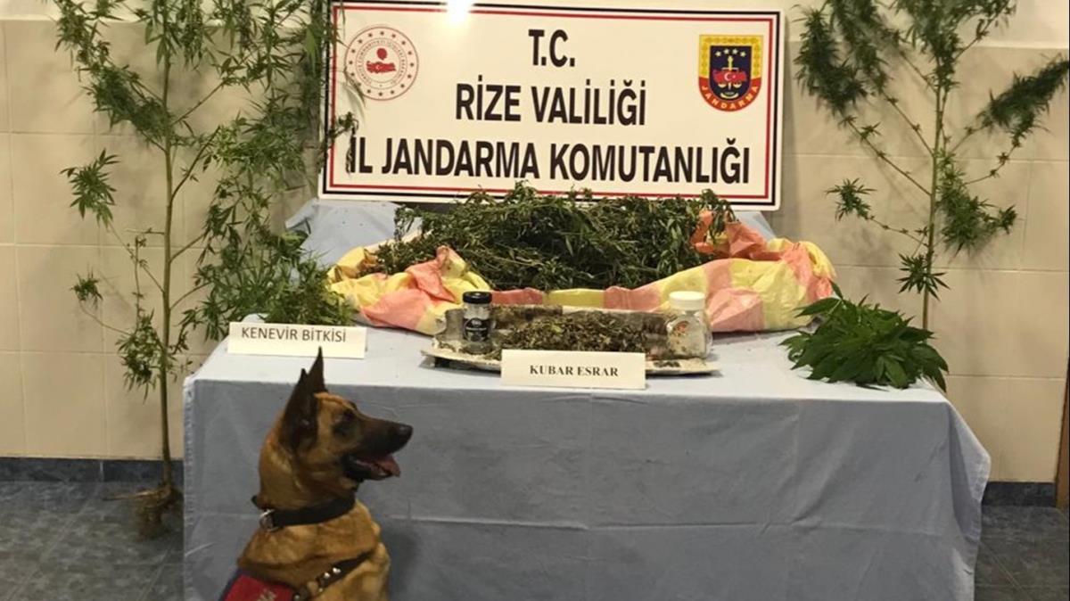 Rize'de narkotik operasyonu