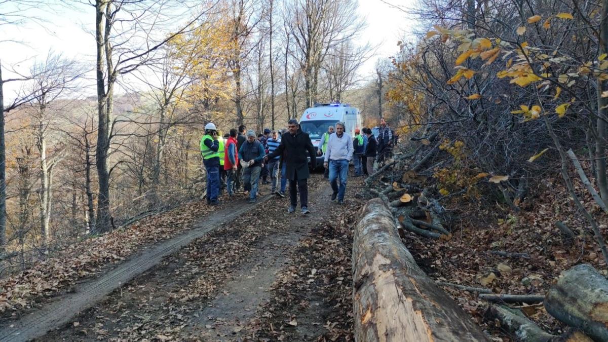 Kestii aacn altnda kalp can verdi