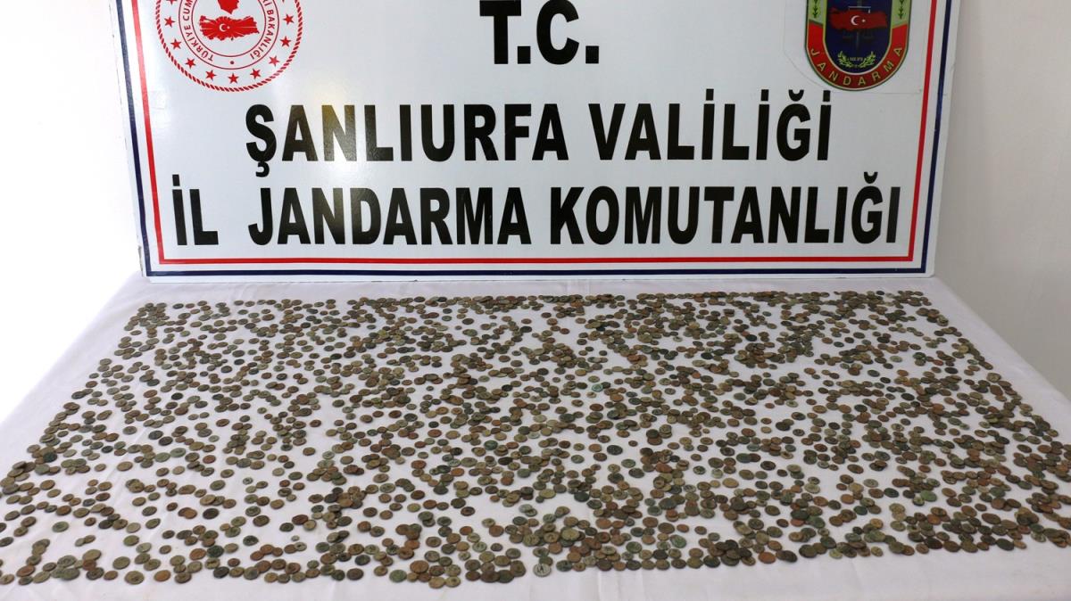 anlurfa'da 2 bin 460 sikke ele geirildi