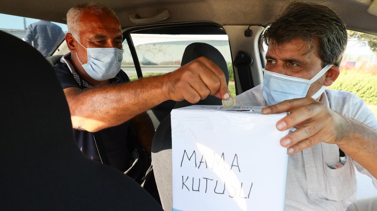 Hayvansever taksici davranyla rnek oluyor