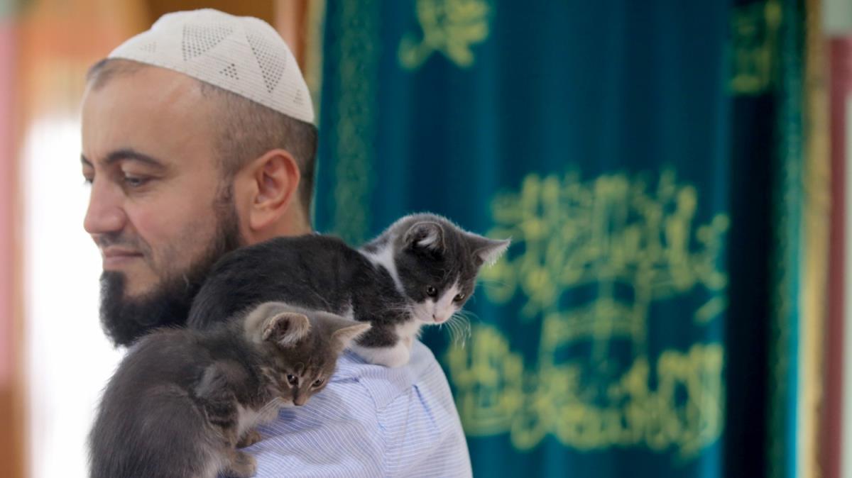 Hayvansever imam caminin kaplarn souk gnlerde kediler iin de ayor