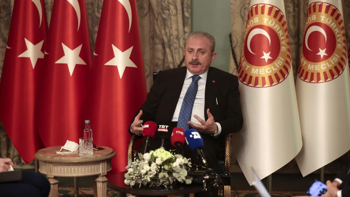 TBMM Bakan entop, Avrupa'dan g krizinin sorumluluunu stlenmesini istedi