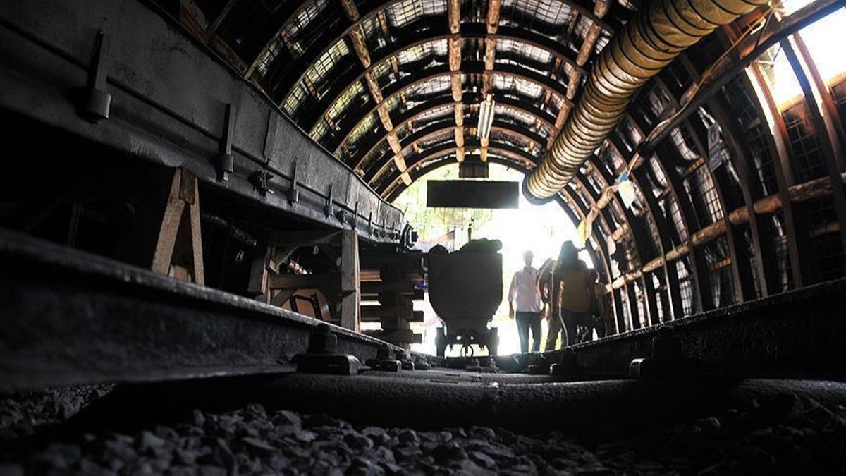 ''Dnyada ticareti yaplan 90 madenden 70'i Trkiye'de kaynak olarak bulunuyor''