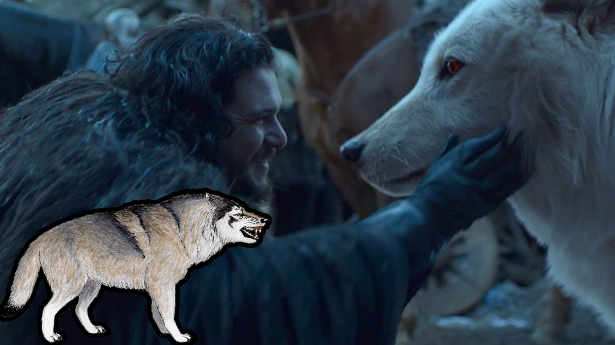 ��te bir d�neme damga vuran 2 metrelik Korkun� Kurtlar