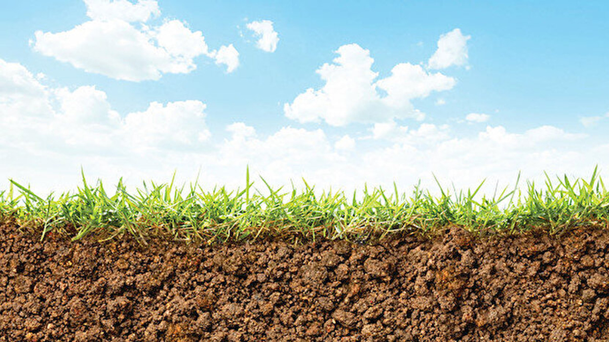 Tar�mda yeni devrim kap�da: Bir y�l ek 10 y�l bi�