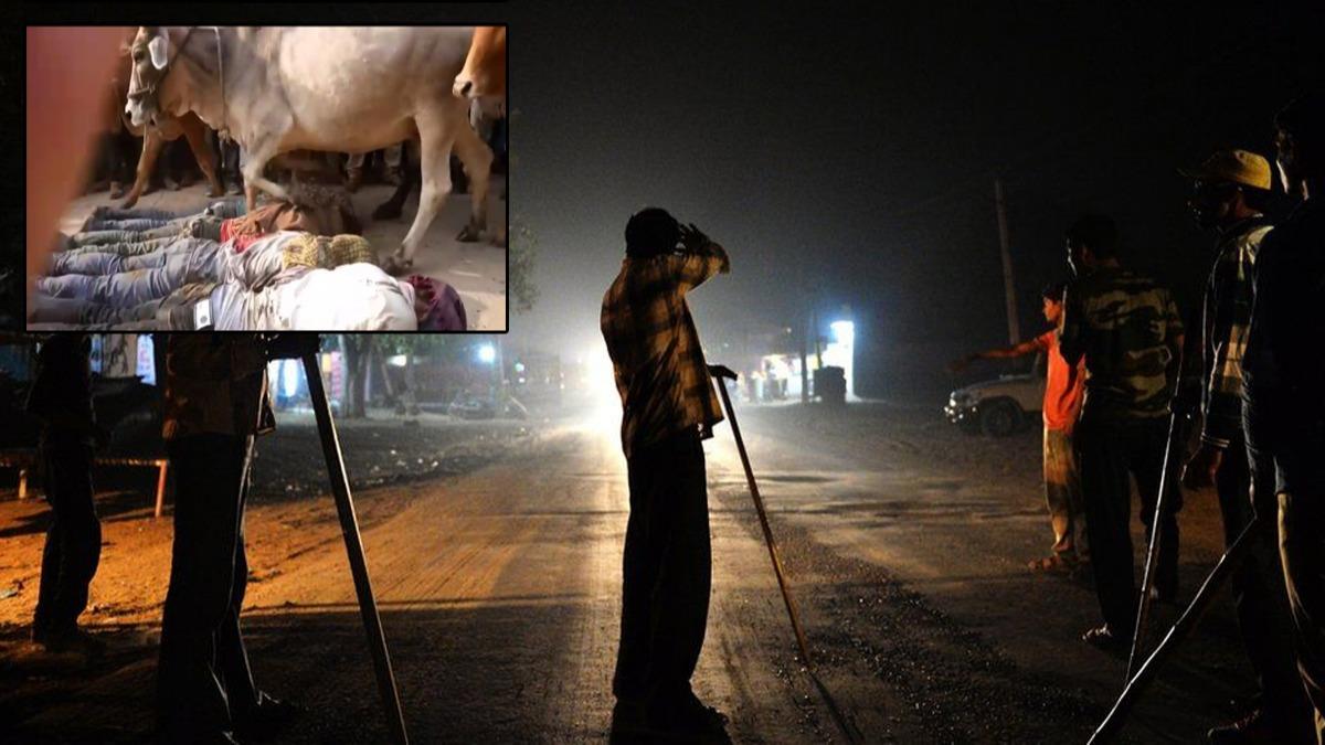 Mslmanlar vahice katlediyorlar: Mesele yine inekler