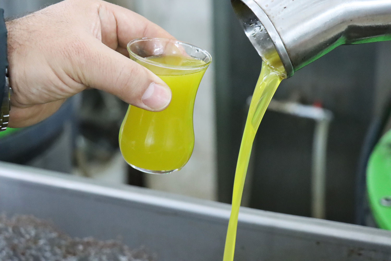 Talebin artt��� zeytinya��nda ta��i� uyar�s�