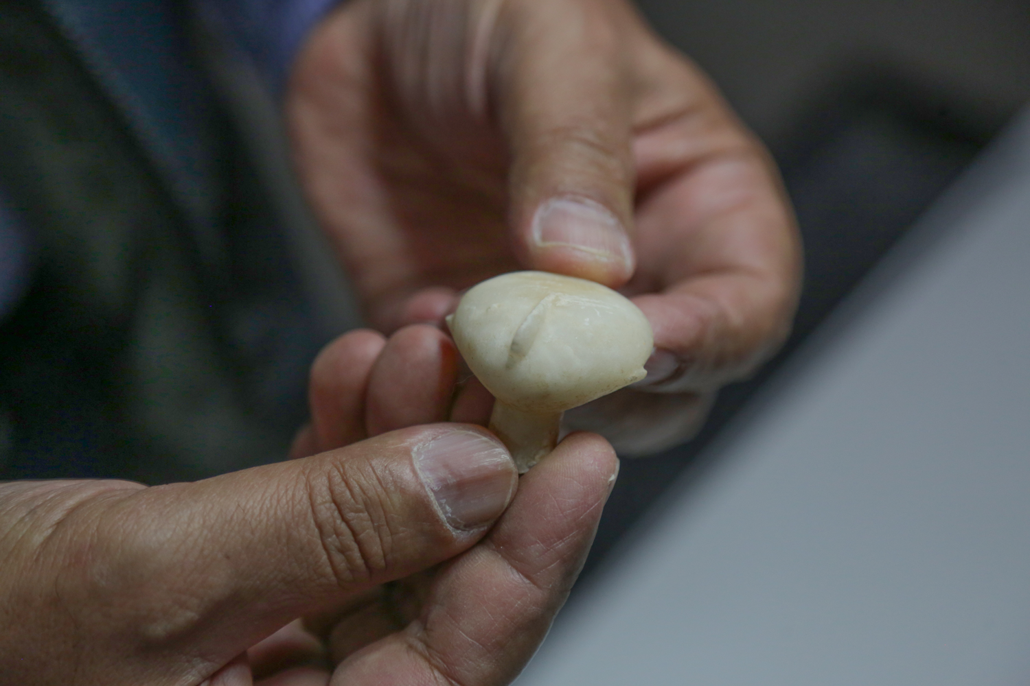 Be�in Antik Kenti'nde bulundu! Nadir �rneklerden biri