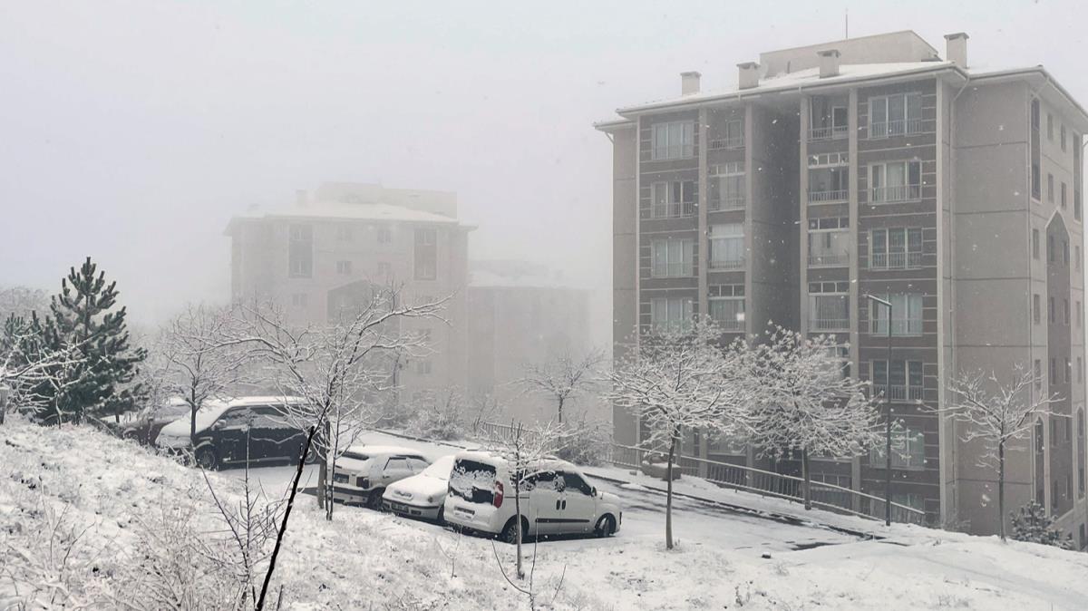 Ankara'da kar ya